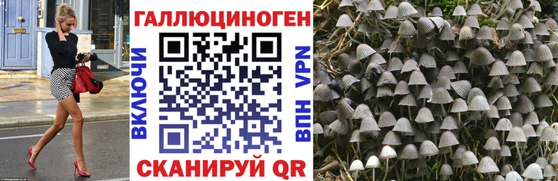 Галлюциногенные грибы Cubensis  Луга 
